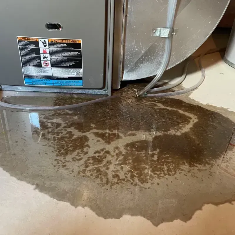 Appliance Leak Cleanup in Saint David, AZ